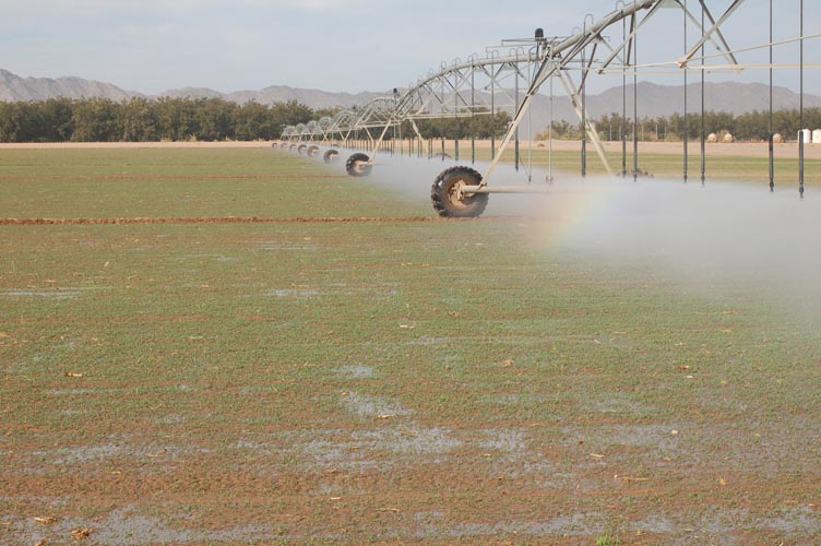 CenterPivotPhoto_216