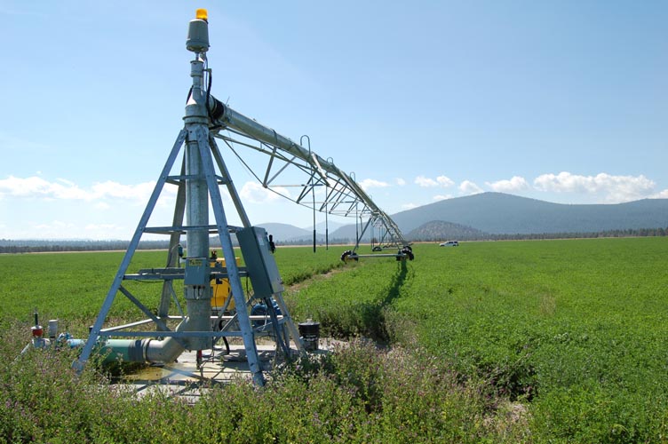 CenterPivotPhoto_221