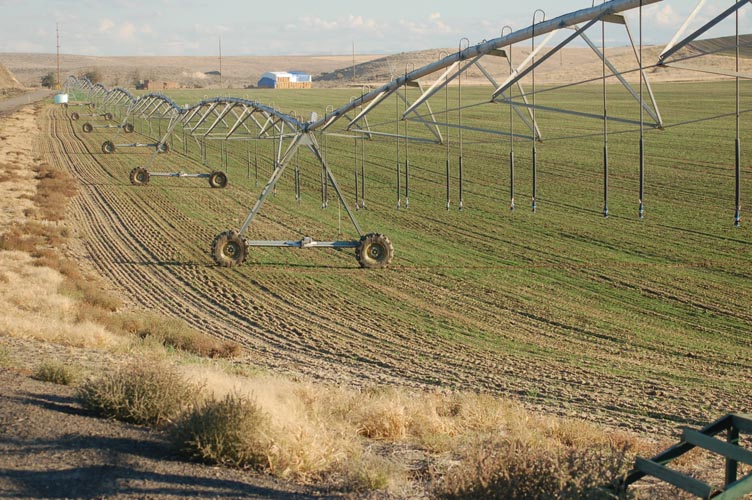 CenterPivotPhoto_223