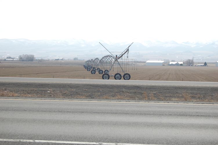 CenterPivotPhoto_231