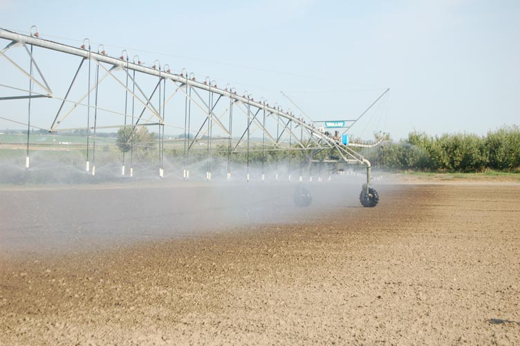 CenterPivotPhoto_234