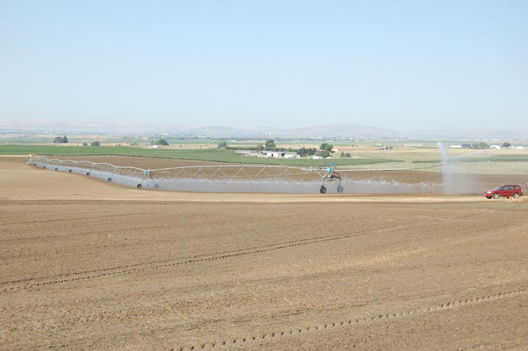 CenterPivotPhoto_235