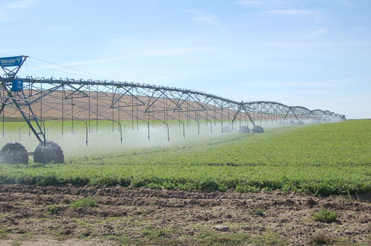 CenterPivotPhoto_236