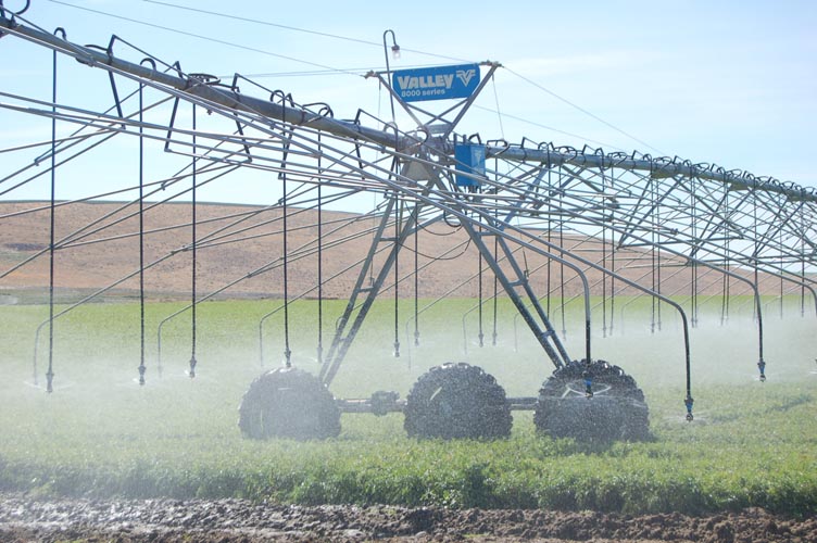 CenterPivotPhoto_237