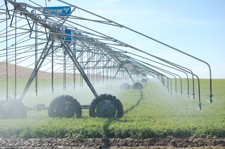 CenterPivotPhoto_238