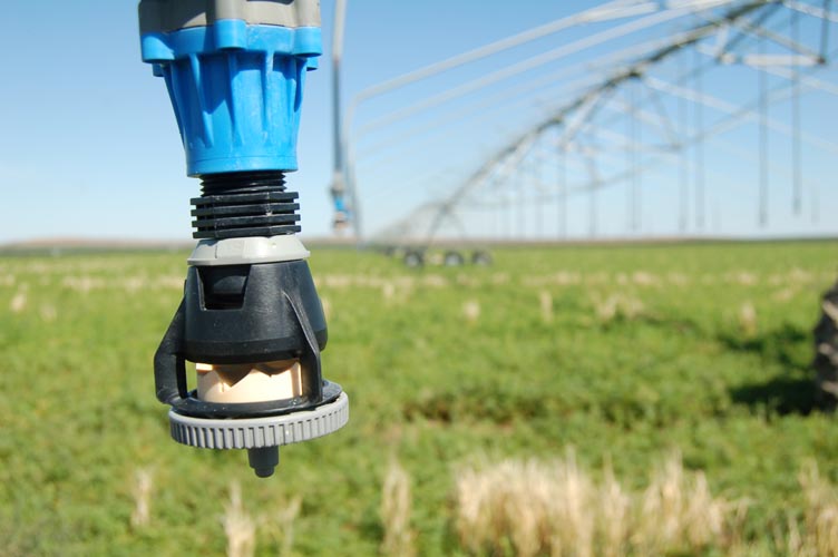 CenterPivotPhoto_239