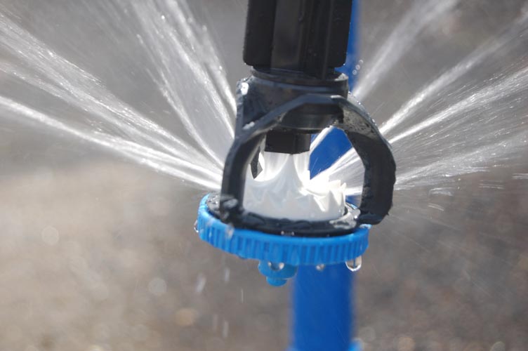 CenterPivotPhoto_243