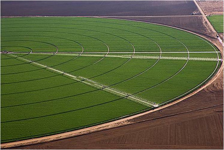 CenterPivotPhoto_245