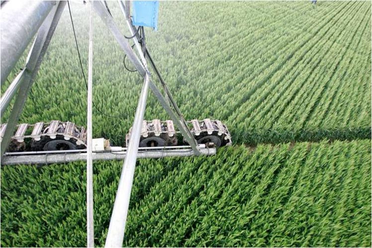 CenterPivotPhoto_248