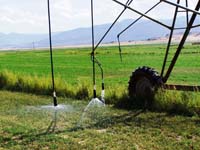 CenterPivotPhoto_125