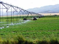 CenterPivotPhoto_127