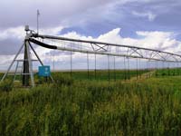 CenterPivotPhoto_128