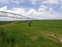 CenterPivotPhoto_129