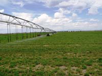 CenterPivotPhoto_130