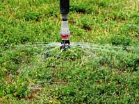 CenterPivotPhoto_132