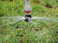 CenterPivotPhoto_133