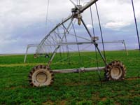 CenterPivotPhoto_136