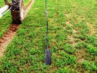 CenterPivotPhoto_137