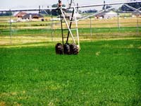 CenterPivotPhoto_141