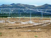 CenterPivotPhoto_142