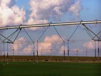 CenterPivotPhoto_154