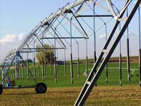 CenterPivotPhoto_158