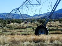 CenterPivotPhoto_163