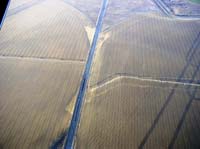 CenterPivotPhoto_165