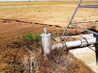 CenterPivotPhoto_168