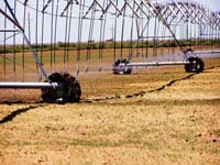 CenterPivotPhoto_174