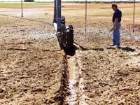 CenterPivotPhoto_175