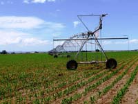 CenterPivotPhoto_176