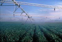 CenterPivotPhoto_178