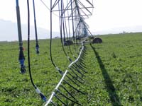 CenterPivotPhoto_179