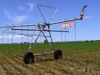 CenterPivotPhoto_181