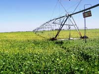 CenterPivotPhoto_182