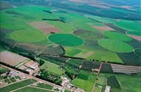 CenterPivotPhoto_186