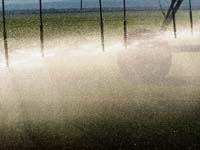 CenterPivotPhoto_192