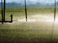 CenterPivotPhoto_193