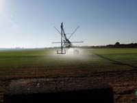 CenterPivotPhoto_194