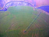 CenterPivotPhoto_196