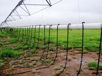 CenterPivotPhoto_199