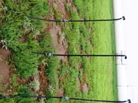 CenterPivotPhoto_200