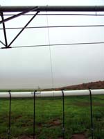 CenterPivotPhoto_203