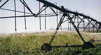 CenterPivotPhoto_207