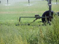 CenterPivotPhoto_208