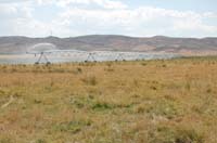 CenterPivotPhoto_209