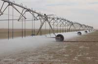 CenterPivotPhoto_215