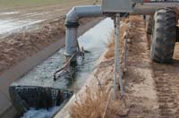 CenterPivotPhoto_219