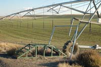 CenterPivotPhoto_222